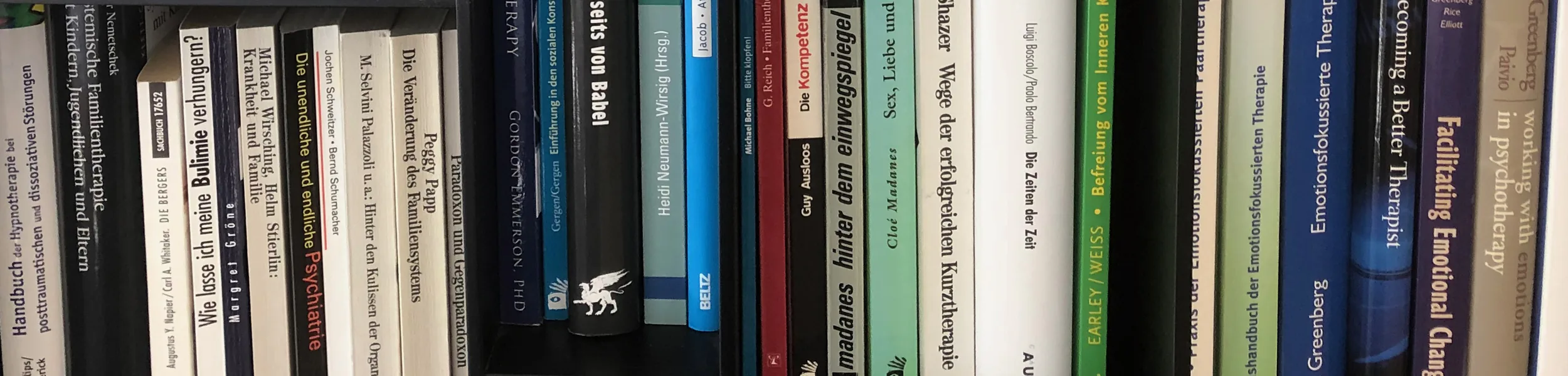 Bücher – Systemisches Institut Bern